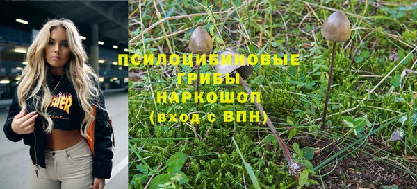 мяу мяу мука Алексин