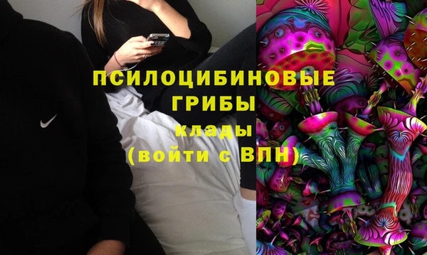 бутират Алзамай